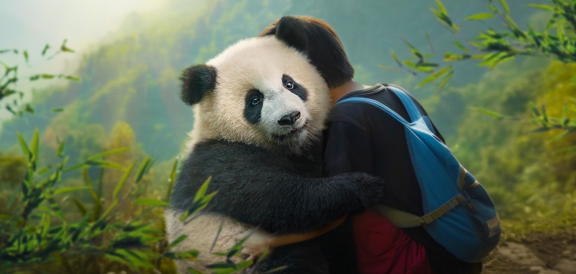 MOON, DER PANDA