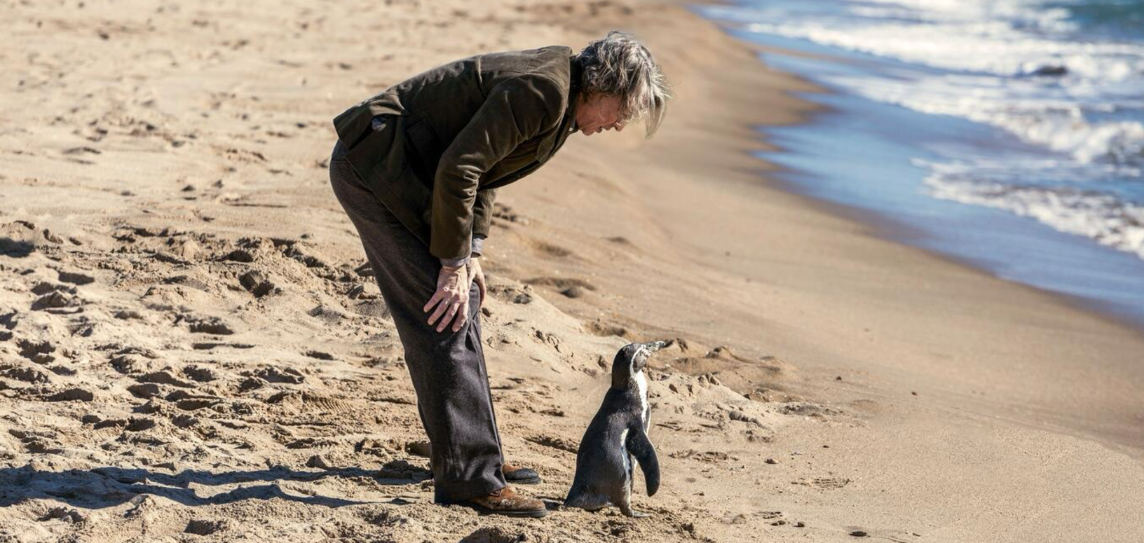 Pinguin